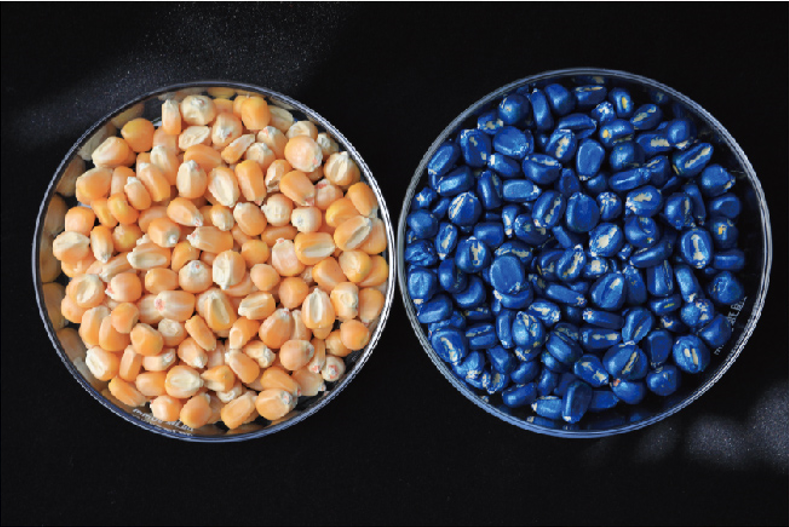 智汇BF-603蓝色水性成膜剂