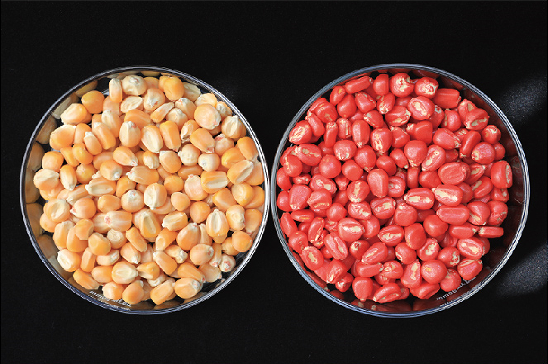 智汇RF-201红色水性成膜剂