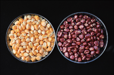 智汇PRF-2322葡萄紫色水性成膜剂