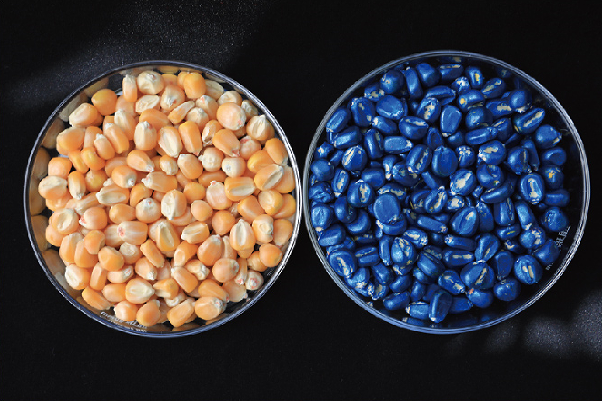 智汇LF-301青莲色水性成膜剂