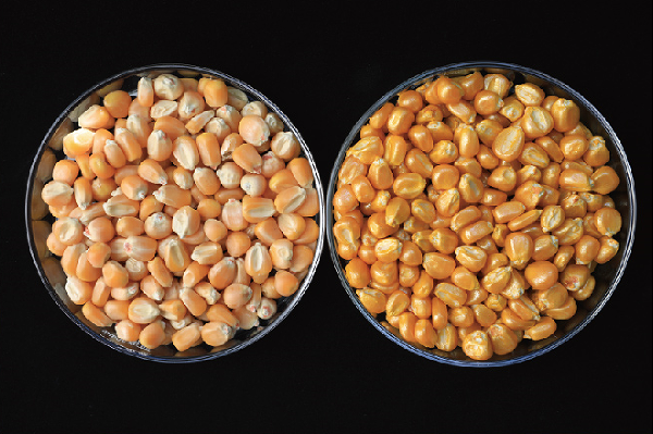 智汇YF-801金黄色水性成膜剂